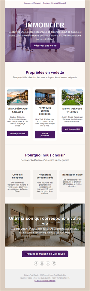 Email violet d'annonces immobilières